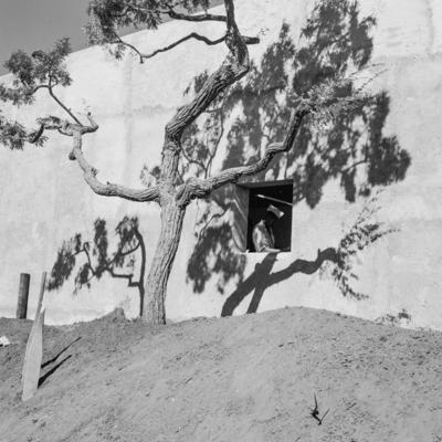 Universidade de Brasília