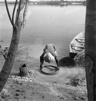 Garimpo de diamantes na Boca do Tauiri