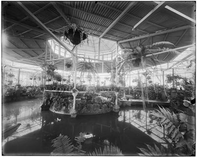 Orquidário no Jardim Botânico