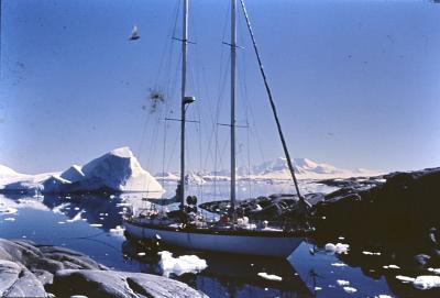 Aventuras de Igor na Antártida