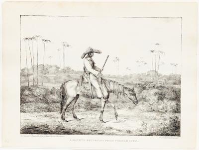 A Matuto Returning from Pernambuco