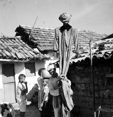 Bumba Meu Boi, festa popular