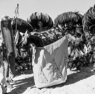 Bumba meu boi, festa popular