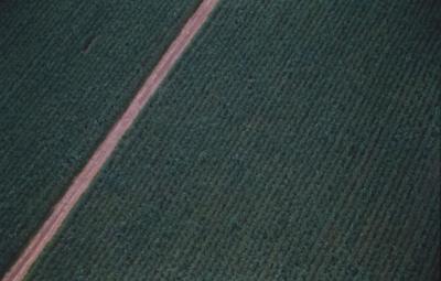 Vista aérea de estrada em meio à floresta