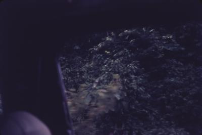 Foto da janela do ônibus, na rodovia Belém-Brasília