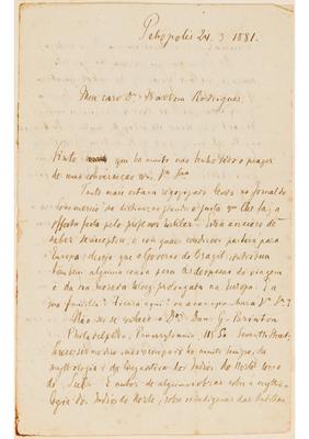 [Carta de Karl Henning a João Barbosa Rodrigues [?], escrita em Petrópolis, em 24 de março de 1881]