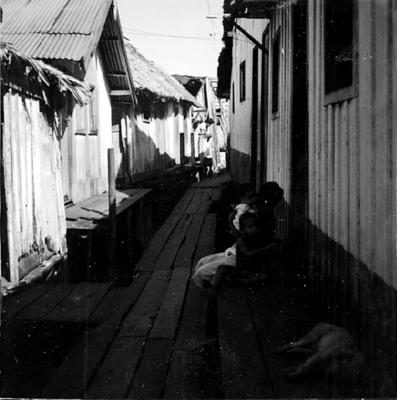 Vila da Barca, palafitas flutuantes