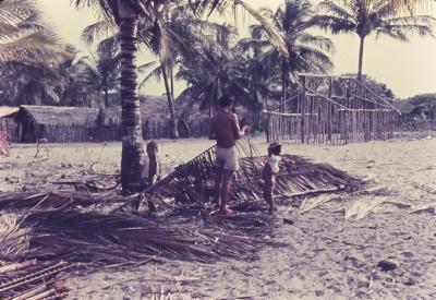 Preparação de folhas de palmeira para cobertura de casa