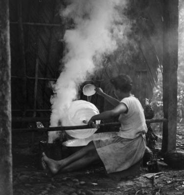 Ilha de Marajó, látex