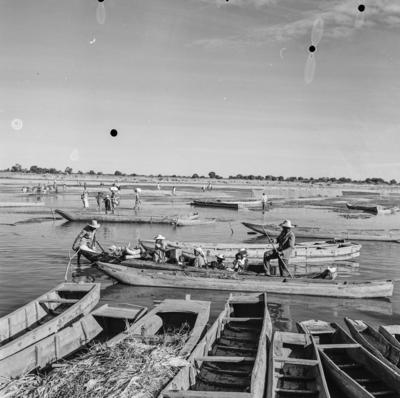 Cena do Rio São Francisco