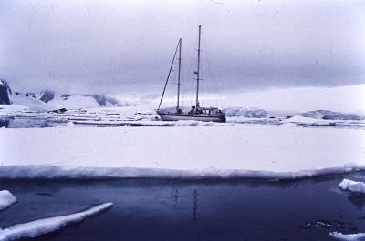 Aventuras de Igor na Antártida