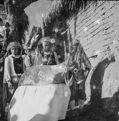 Bumba meu boi, festa popular