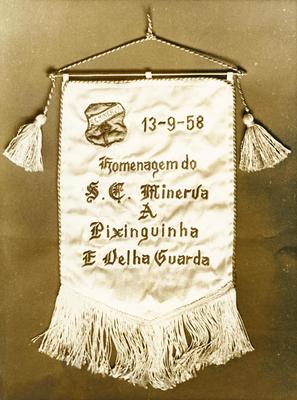 Pixinguinha (flâmula)