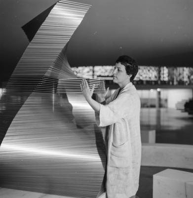 Obra da série do Polivolume de Mary Vieira