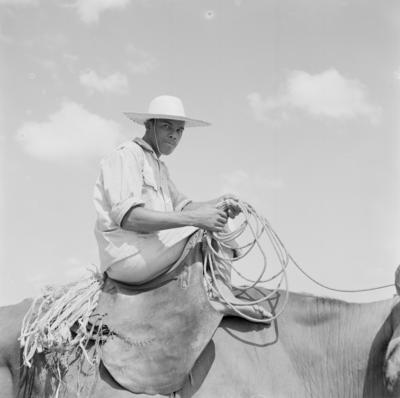 Vaqueiro - Ilha Mexiana