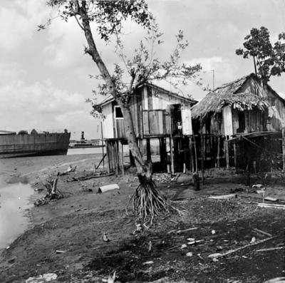 Vila da Barca, palafitas flutuantes