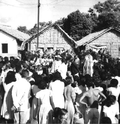 Bumba meu boi, festa popular