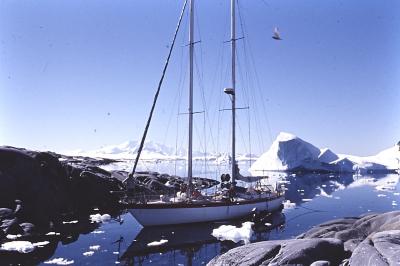 Aventuras de Igor na Antártida