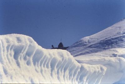 Aventuras de Igor na Antártida