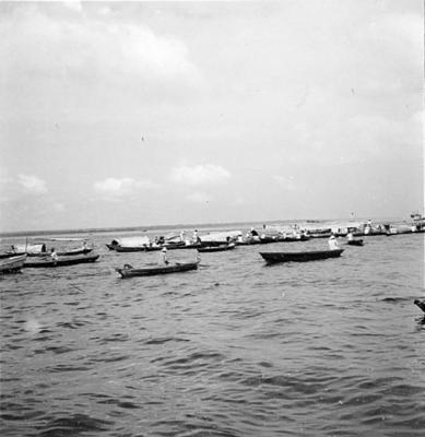 Palafitas flutuantes