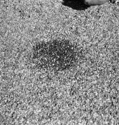 Garimpo de diamantes na Boca do Tauiri