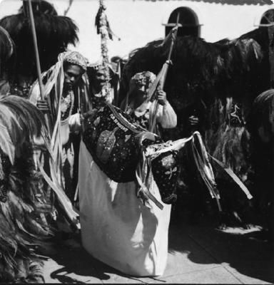 Bumba meu boi, festa popular