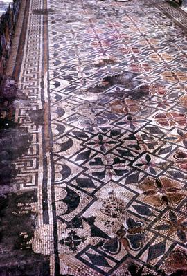 Museu Monográfico e Ruínas de Conimbriga