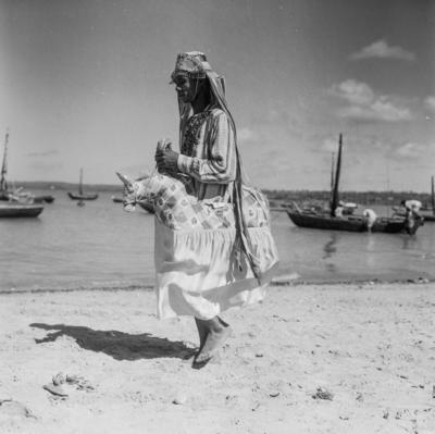 Bumba meu boi, festa popular