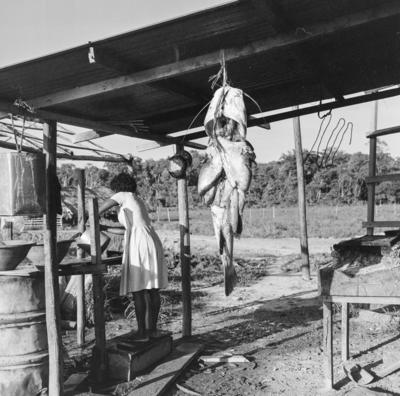 Ilha de Marajó, peixe