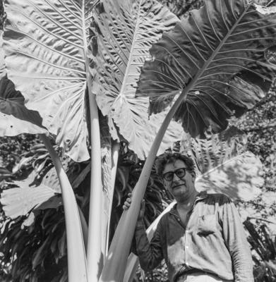 Roberto Burle Marx no Sítio Burle Marx