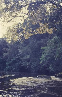 Expedição Pico da Neblina