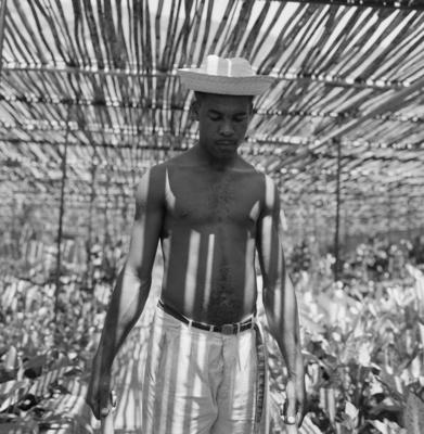 Funcionário do Sítio Burle Marx