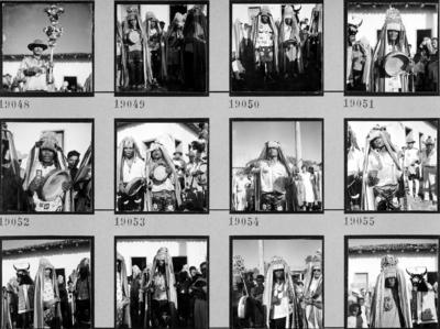 Bumba meu boi, festa popular