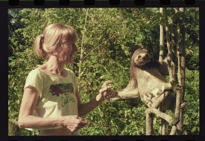 Heidi e as preguiças