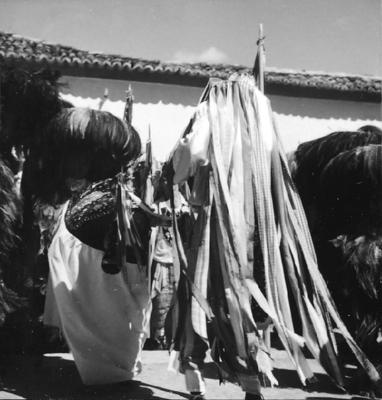 Bumba meu boi, festa popular