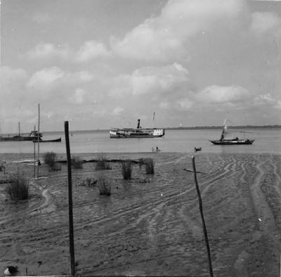 Vila da Barca, barcos