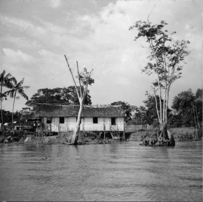 Rio Guamá, palafitas flutuantes