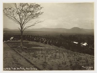 Fazenda da prefeitura em Guaratiba, atual Fazenda Modelo
