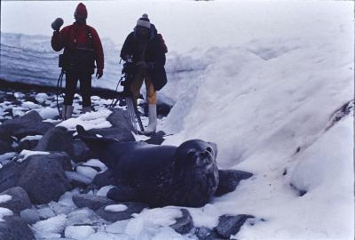 Serge Guitton e Jorge Bodanzky