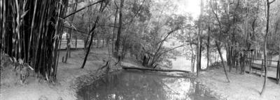 Parque Alfredo Volpi