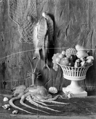 Marcus Pereira & Margulis - Equipesca