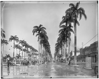 Vista do canal do Mangue