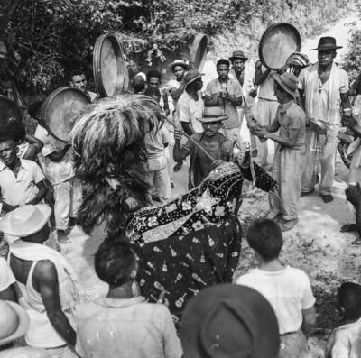Bumba meu boi, festa popular