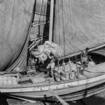 Homens descarregando juta