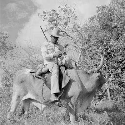 Vaqueiro - Ilha Mexiana