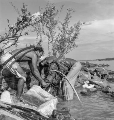 Garimpo de diamantes na Boca do Tauiri