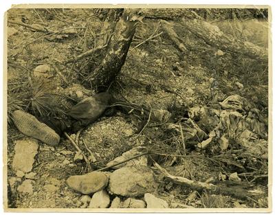 Corpo de soldado chinês