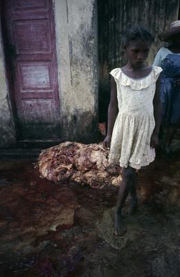 Série Bahia Antiga e Nova - Matadouro