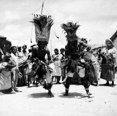 Bumba Meu Boi, festa popular