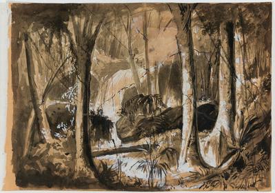 [Floresta com cachoeira]